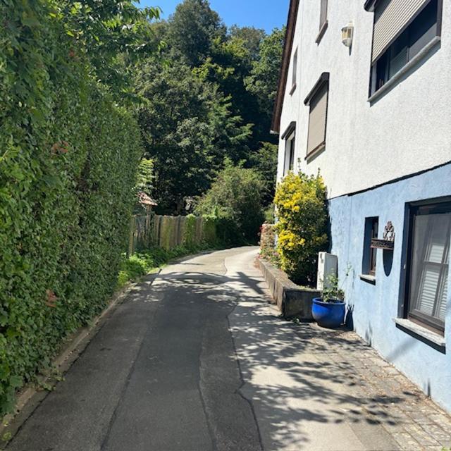 Ferienwohnung Im Morgenbachtal Trechtingshausen Zewnętrze zdjęcie